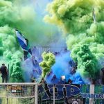 Navijači Zemuna (Foto: Starsport)