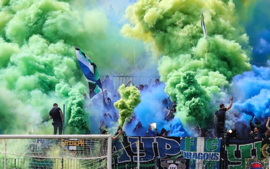 Navijači Zemuna (Foto: Starsport)